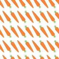 Pattern of carrots from the vegetable garden. Harvesting in the fall. vector