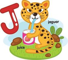 alfabeto aislado letra j-jugo-jaguar ilustración,vector vector