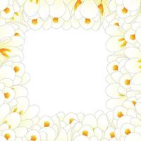 White Crocus Flower Border vector