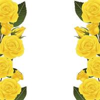 Yellow Rose Flower Border vector