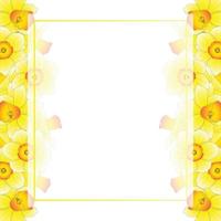 Yellow Daffodil - Narcissus Banner Card Border vector