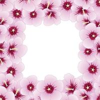 Hibiscus syriacus - Rose of Sharon Border. vector