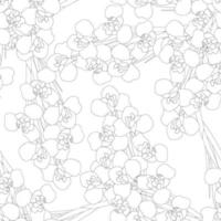 Iris Flower on White Background vector