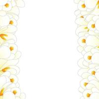 White Crocus Flower Border vector