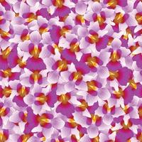 Purple Vanda Miss Joaquim Orchid Seamless Background vector