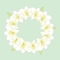 White Lily Flower Wreath on Green Mint Background vector