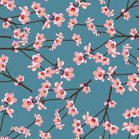 Momo Peach Flower Blossom Seamless on Blue Background vector