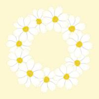 White Cosmos Flower Wreath. vector