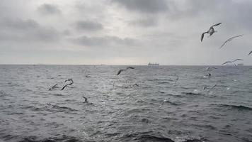 marmara vista para o mar e gaivotas na temporada de inverno