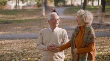 Handsome senior couple embracing in autumn park video