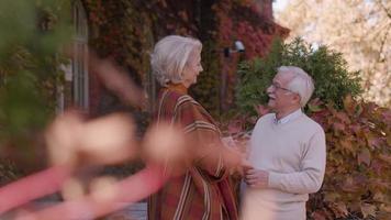 beau couple de personnes âgées embrassant dans le parc d'automne video