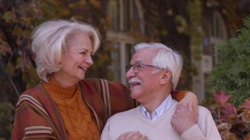 beau couple de personnes âgées embrassant dans le parc d'automne video