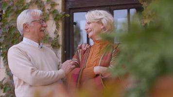 Handsome senior couple embracing in autumn park video