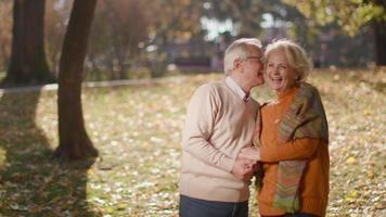 hübsches älteres Paar, das sich im Herbstpark umarmt video