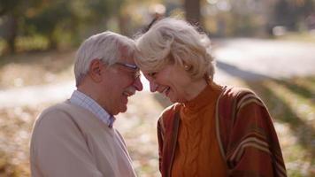 knappe senior paar omarmen in herfst park video