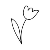 Doodle flowers contour line drawing.Black and white image.Simple flower isolated on a white background.Vector vector