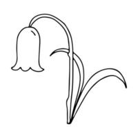 Flower bell in the Doodle style .Black and white image isolated on a white background.Botanical illustration. The bell with the leaves.Vector illustration vector