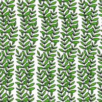 Branch with leaves seamless pattern on a white background.Green leaf.Spring and summer leaves.Printing on textiles.Vector