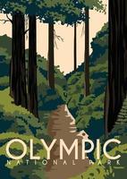 Olympic National Park Vector Illustration Background