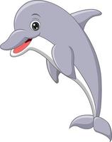 Cartoon dolphin jumping on white background vector