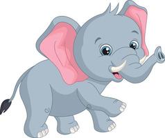 Cartoon cute baby elephant on white background