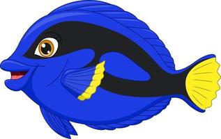 Regal blue tang cartoon on white background vector