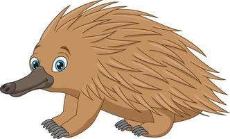 Cartoon echidna isolated on white background vector