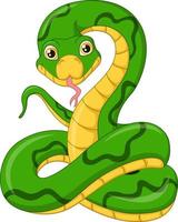 Cute dibujos animados de serpiente verde sobre fondo blanco. vector