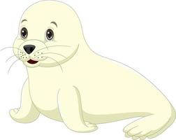 Cartoon cute baby seal on white background vector