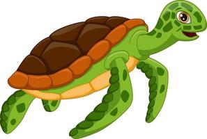 Cartoon turtle on white background vector