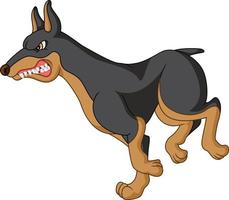 Cartoon angry doberman dog running vector