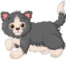 Cute kitten cartoon on white background vector