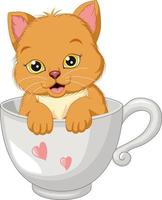 lindo gato de dibujos animados en taza blanca vector