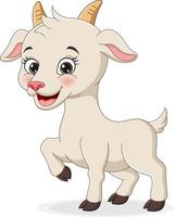 Cute baby goat cartoon on white background vector