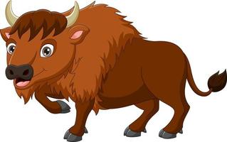 Cartoon bison isolated on white background vector