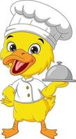 Cartoon little yellow duckling chef holding a silver tray vector