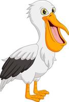 Cartoon funny pelican on white background vector