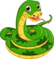 Cute green snake cartoon on white background vector