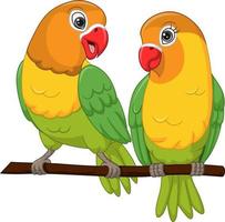 Cute lovebirds couple standing on a tree branch vector