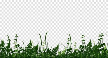 vector verde brillante realista sin costura borde de hierba aislado fondo. ilustración vectorial
