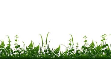 Vector bright green realistic seamless grass border isolated background. Vector illustration