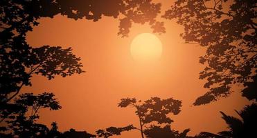 Sunset in the forest, beautiful landscape, big sun, forest silhouette vector