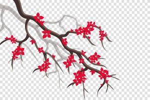 Background to blooming Sakura. Vector illustration