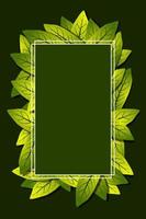 Geometric nature frame with leaves. Vector illustration for nature related