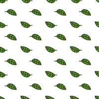 Seamless pattern. Doodle style hand drawn. Nature elements. Vector illustration. Green leaves on a white background.