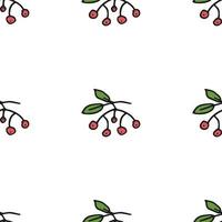 Seamless pattern. Doodle style hand drawn. Nature elements. Vector illustration. Red clusters of mountain ash rowan on a white background.