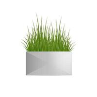 Fresh green grass in a rectangular white pot. Pot in the loft style. Home decor element. Symbol of growth and ecology. Vector realistic illustration isolated.