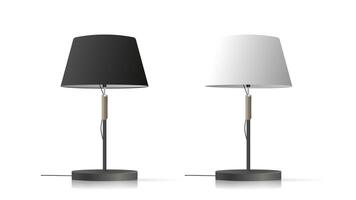 Two lamps with black and white shades on a white surface vector