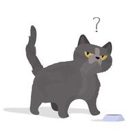 Cat near an empty toe in perplexity. The cat asks to eat. illustration. vector