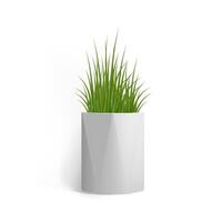 Fresh green grass in a rectangular white pot. Pot in the loft style. Home decor element. Symbol of growth and ecology. realistic illustration isolated. vector